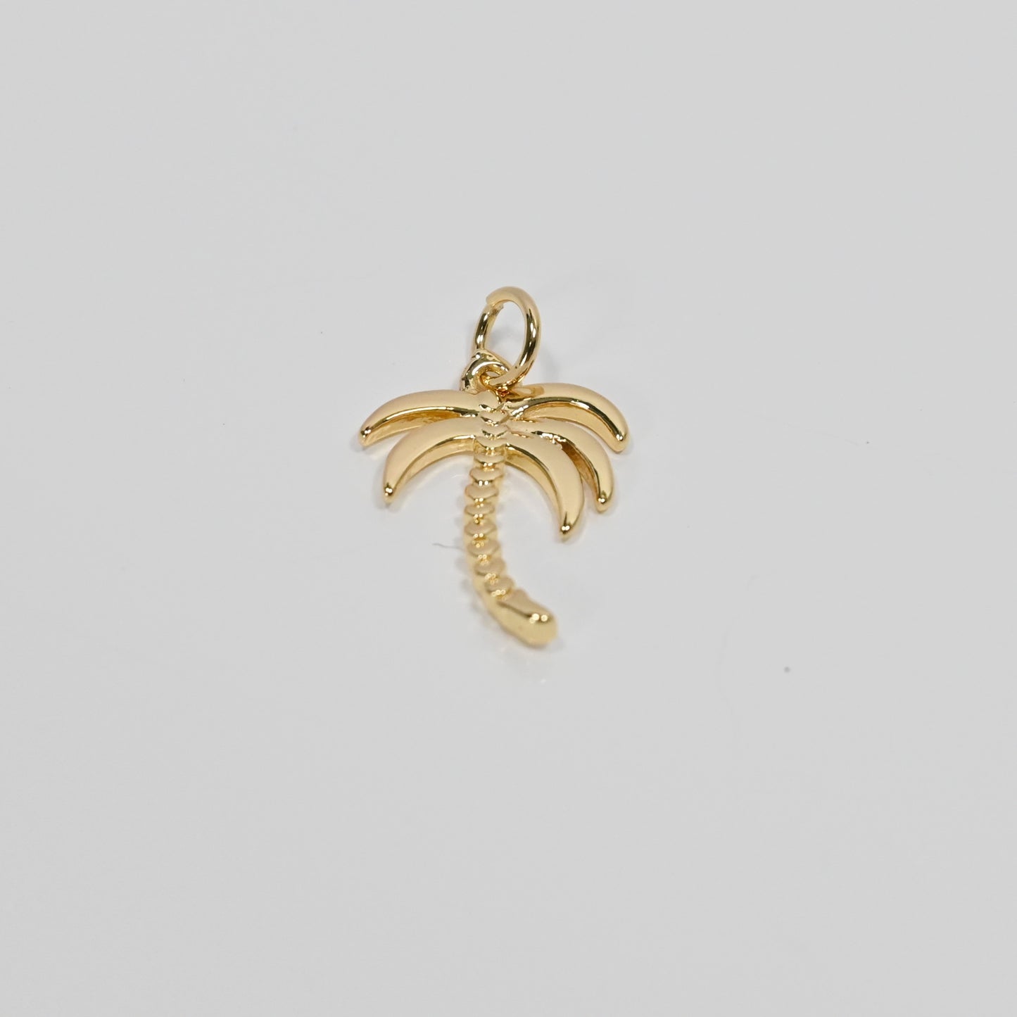 Palm Tree