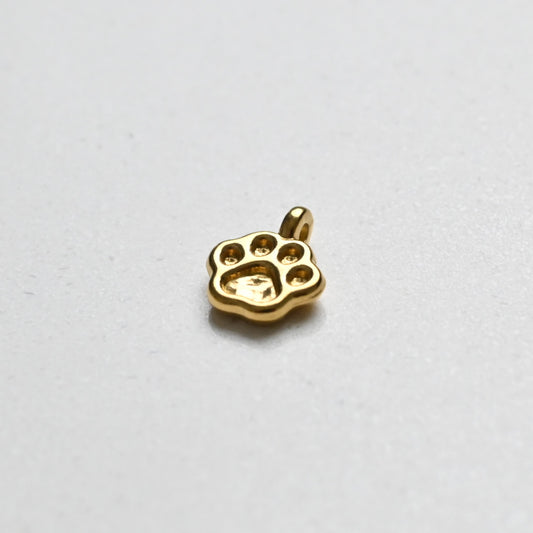 Dog Paw