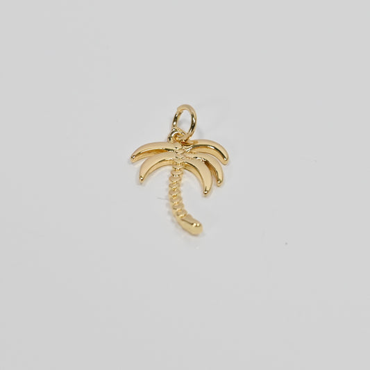 Palm Tree